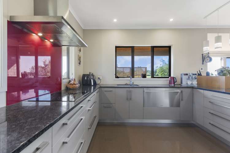8 Pitt Road Hillsborough_7