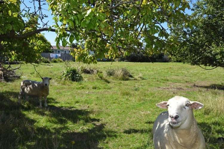 20 Lansdowne Crescent Masterton_15