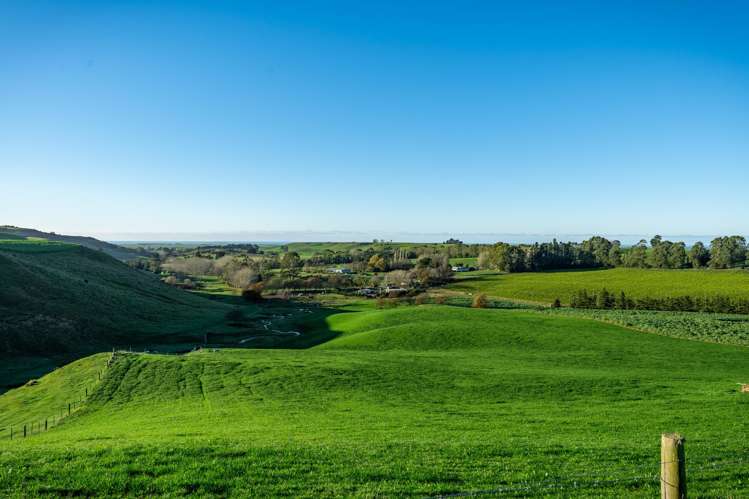 463 Dog Kennel Road Waimate_41