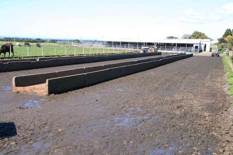 1430 Eltham Road Kaponga_25