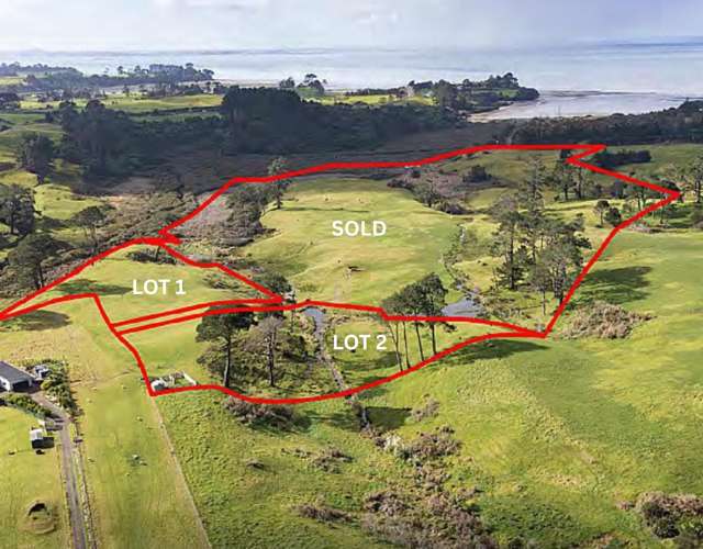 WARNING!  Your Dream Just Found LAND . . .