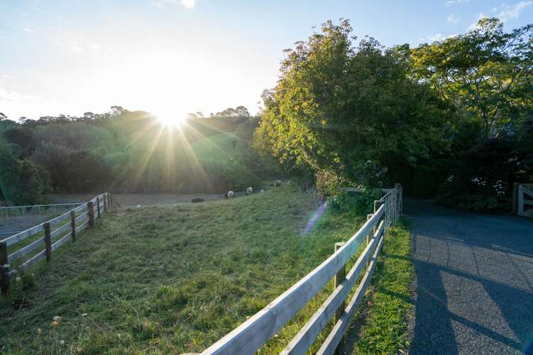 443 Scotsman Valley Road Tauwhare_19