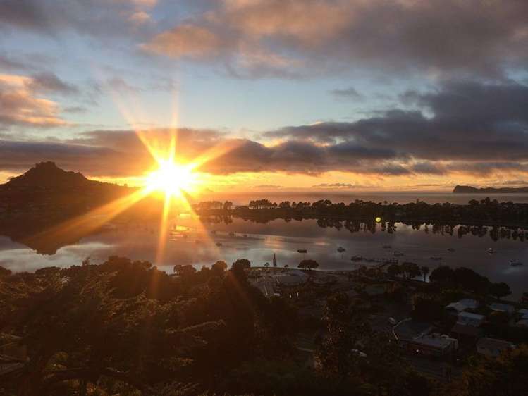 12 Tairua Heights Tairua_14