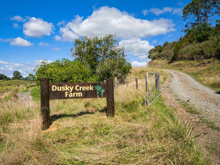 372f Wairoa Road Wairoa_46