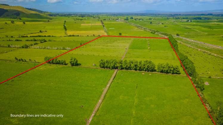 20 Ryall Road Paeroa_5