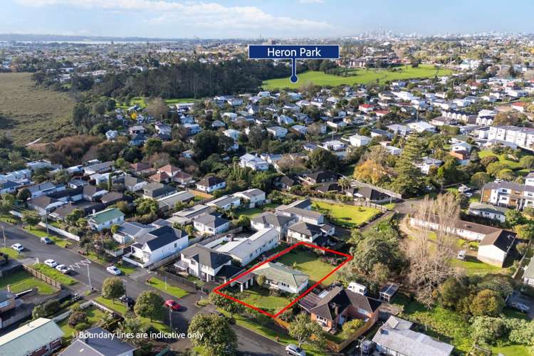 31 Holly Street Avondale_9