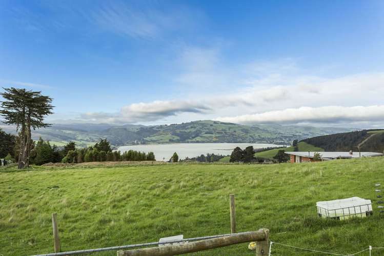 906 Blueskin Road Mount Cargill_14