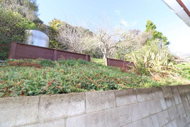 14 Hazlett Road Te Mata_17