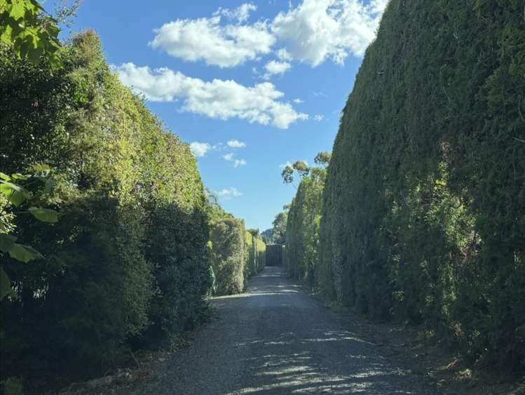 242A Omaha Flats Road Omaha_24