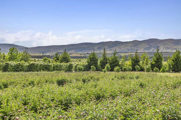 42D Gladsmuir Road Queensberry_10