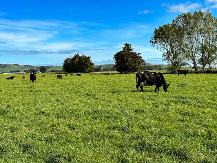 222 Boggyburn Road Winton Surrounds_8