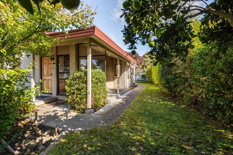 101 Mayfair Avenue Mayfair_11