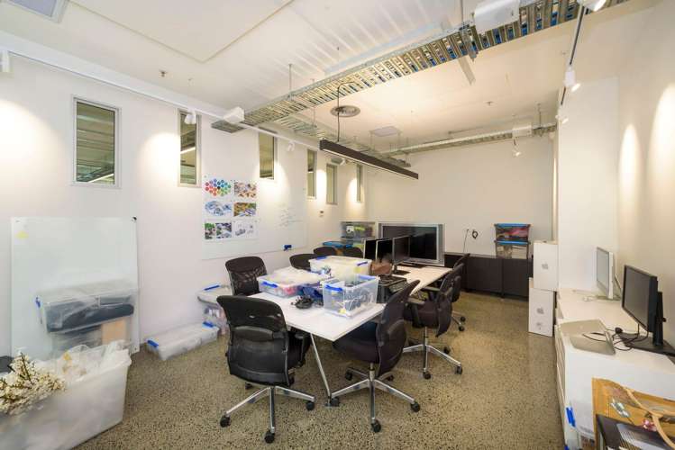3 Vernon Street Freemans Bay_6