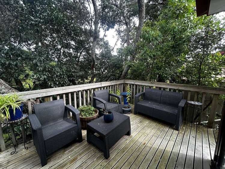 3-20 Reid Road New Lynn_6