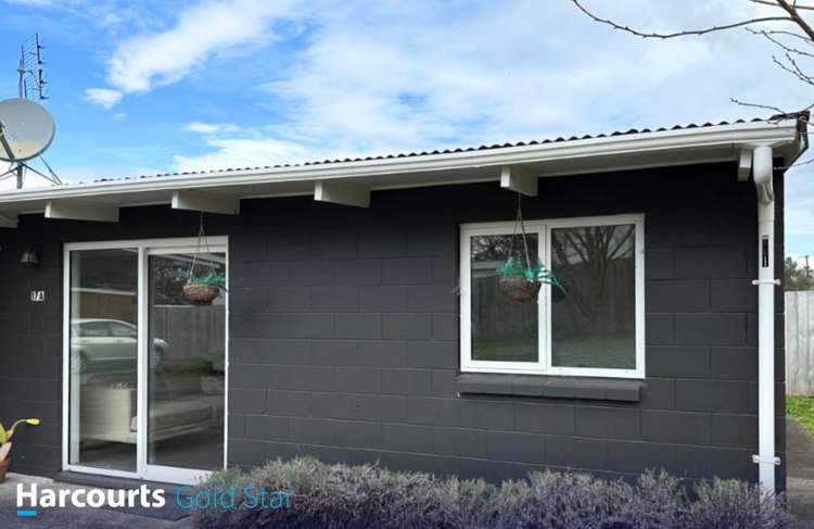 17A Grey Street Waihi_1