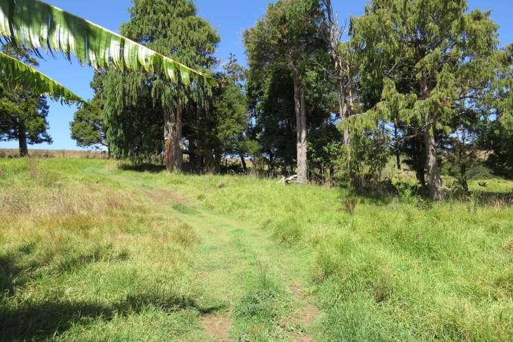 4159 State Highway 12 Kaipara_11