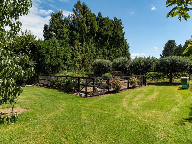 84 Plummer Road Whakamarama_23