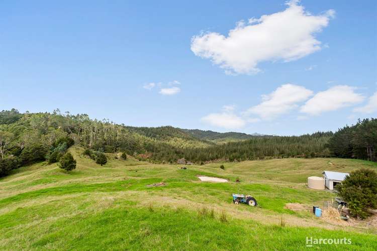 245 Pukeatua Road Maungatapere_8