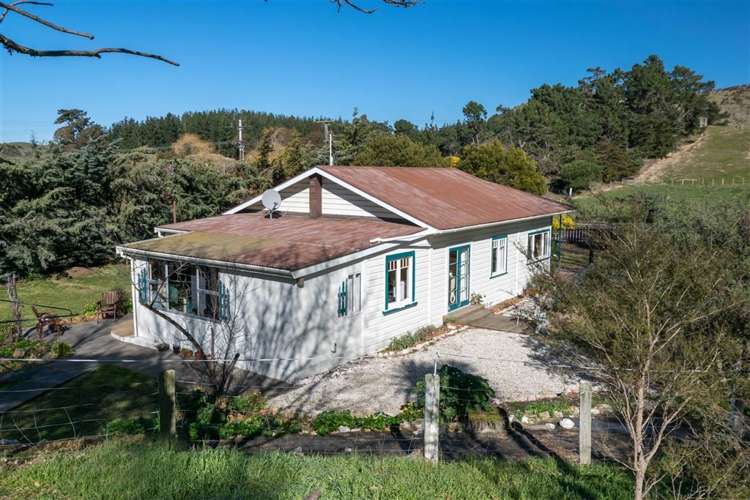 6151 State Highway 1 Seddon_18