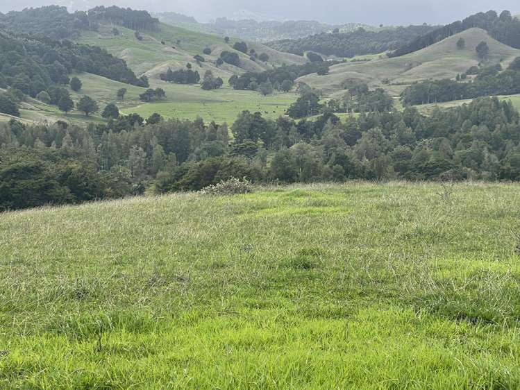 426 Mangarata Block Road Arapohue_14