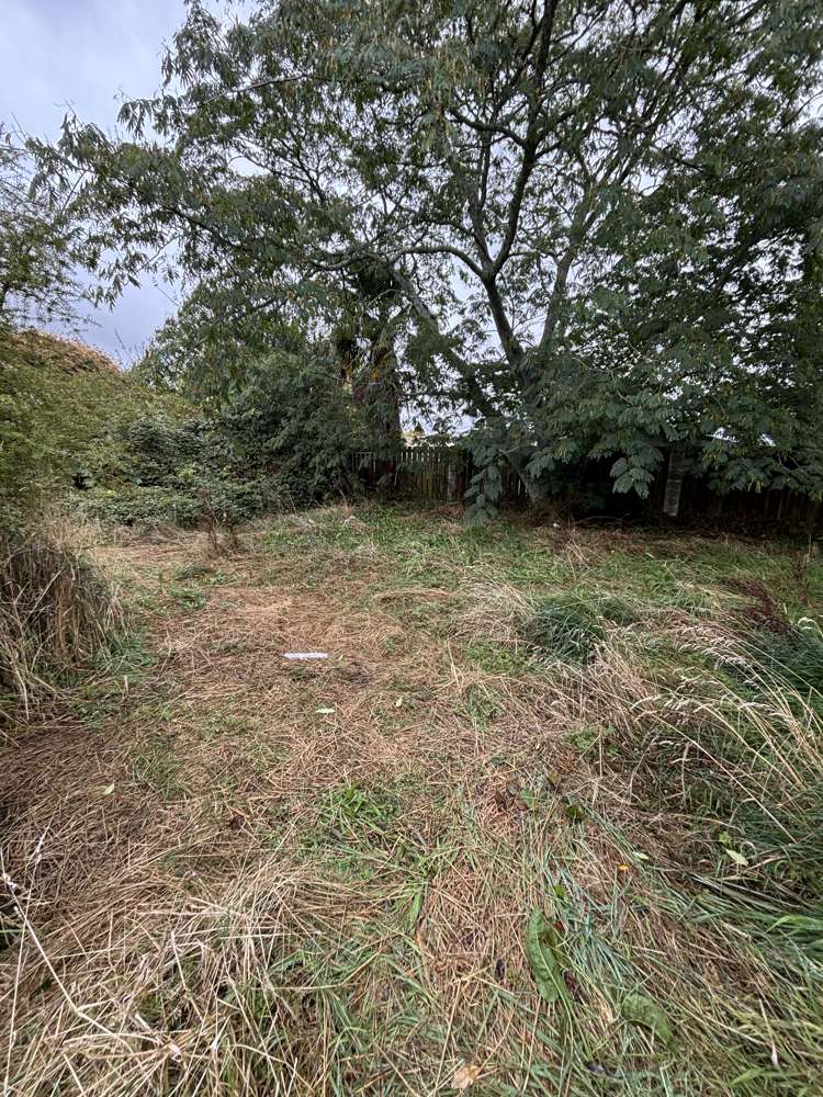 19 George Place Tokoroa_18