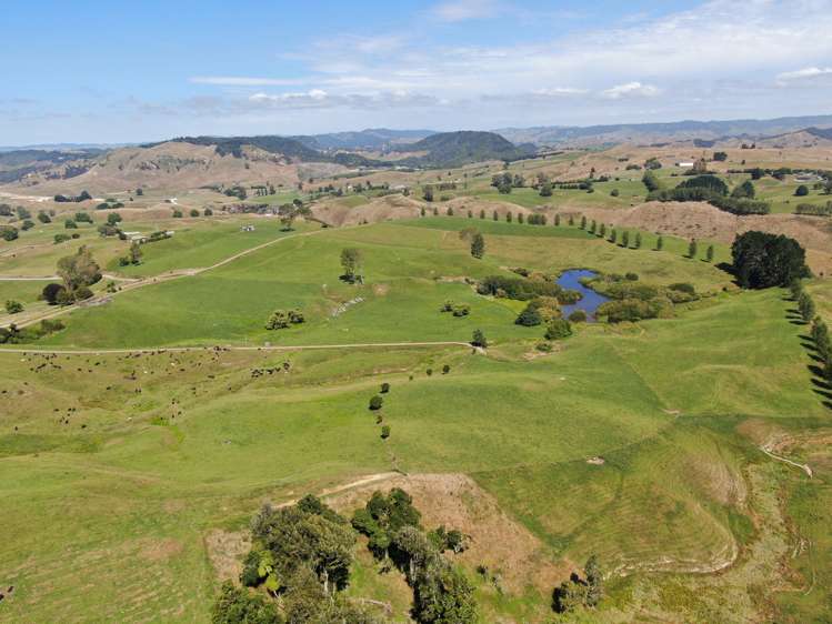 Paekaka Road Piopio_18