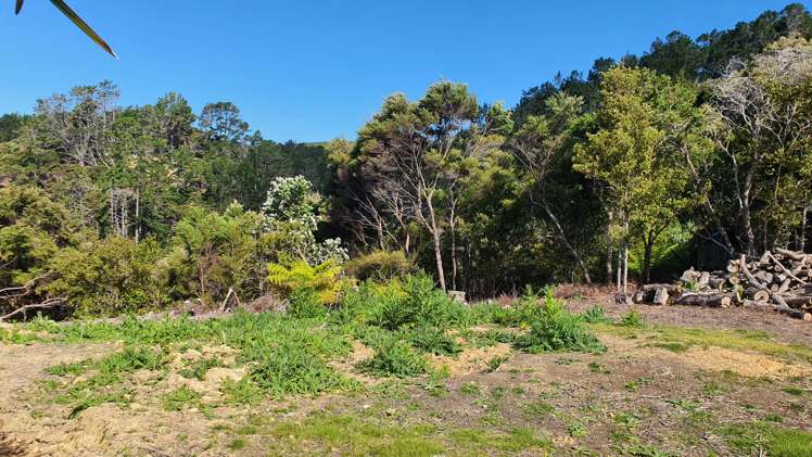 Lot 2 DP51532 Bon Accord Harbour Kawau Island_5