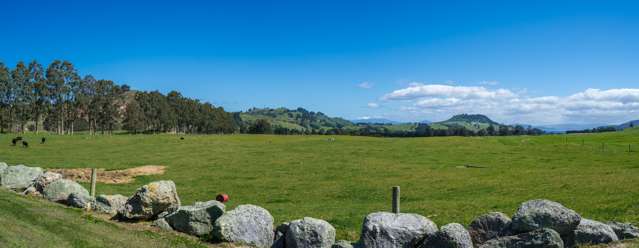 658 Tukairangi Road Kinloch_2