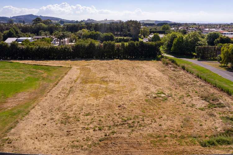 104 Tara Road Papamoa_8