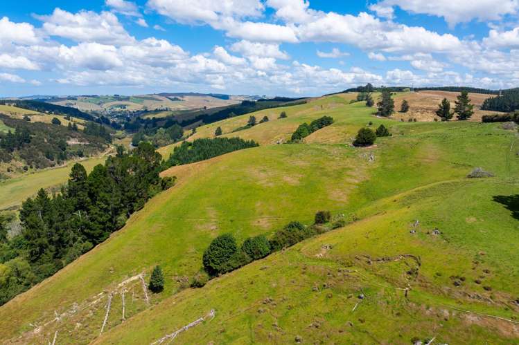 00 Blue Spur Road, Gabriels Gully Lawrence_17