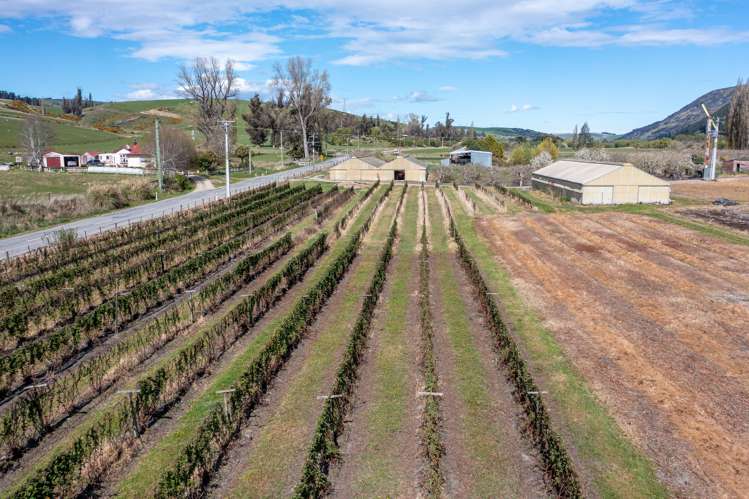 5104 Roxburgh - Ettrick Road Ettrick_21