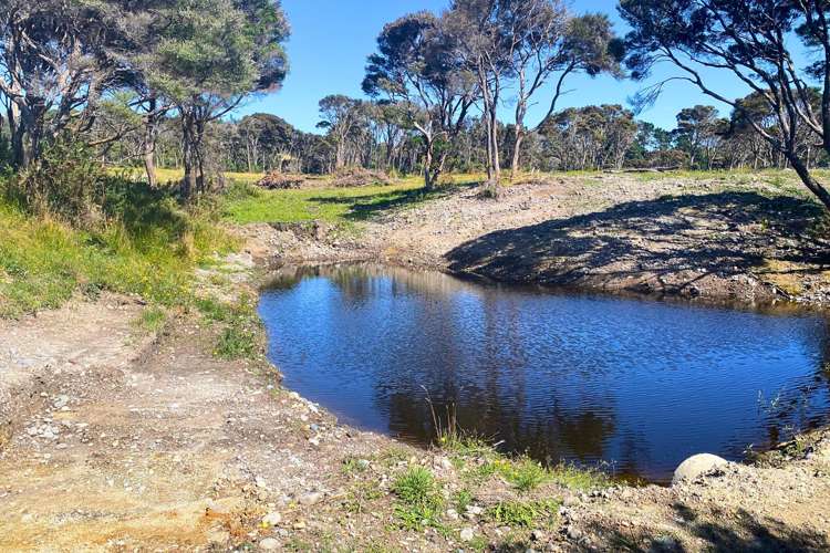 Lot 3/161 Wharariki Road Puponga_6
