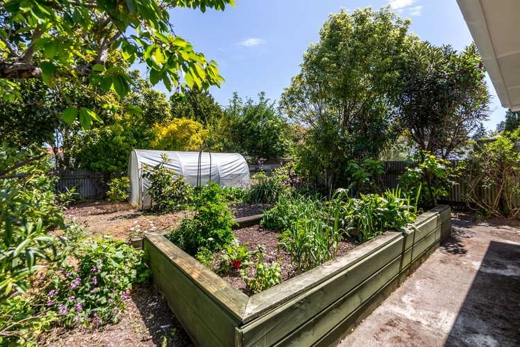 25 Jeans Street Masterton_24