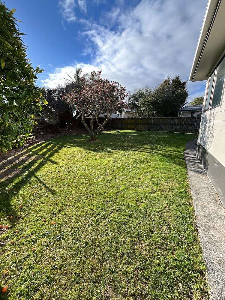 11A Goldnib Place Randwick Park_2