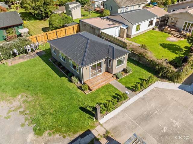 15B Black Beech Birchville_4
