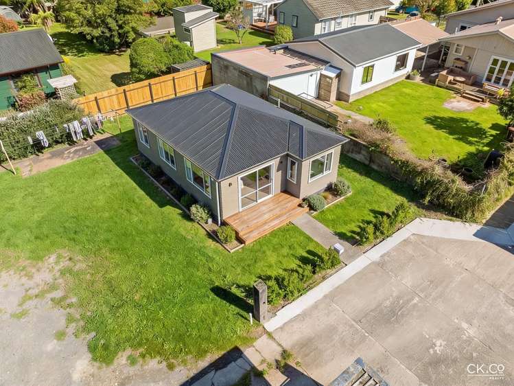 15B Black Beech Birchville_4