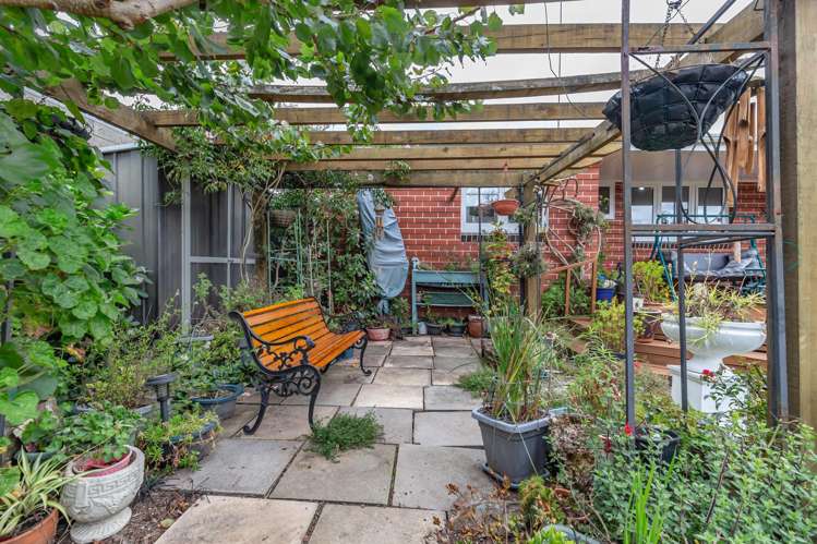 40 Graham Street Levin_16