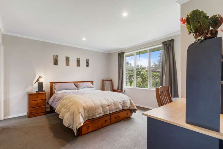 32b Punga Punga Road Pukekawa_11