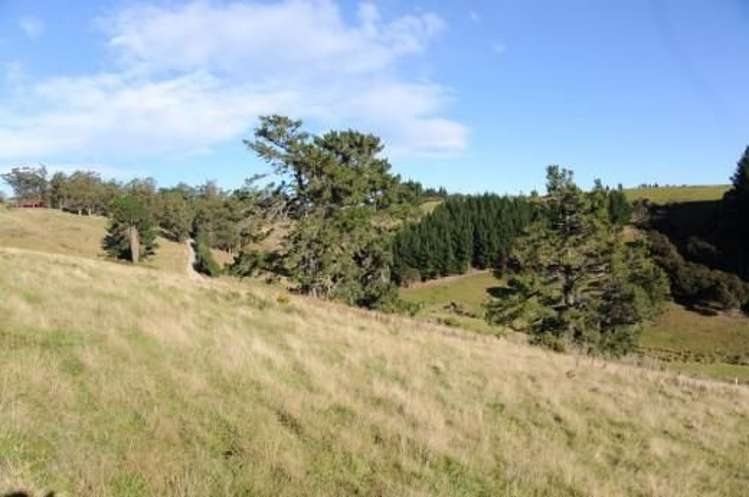 33 Dons Creek Road Waitati_2