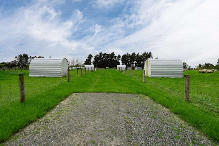 78 East Road Ascot_35