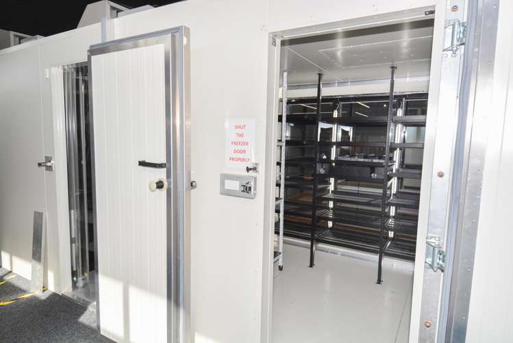 12 Jed Street Invercargill Central_11