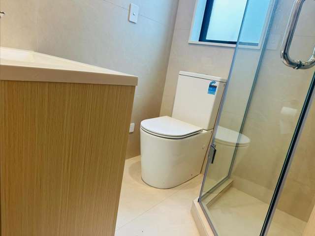 14 Glann Lane Flat Bush_4