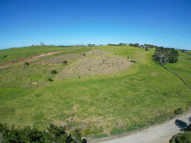 42 Redhill Cemetery Road Te Kopuru_3