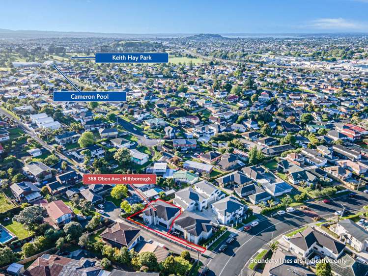 38b Olsen Avenue Hillsborough_34