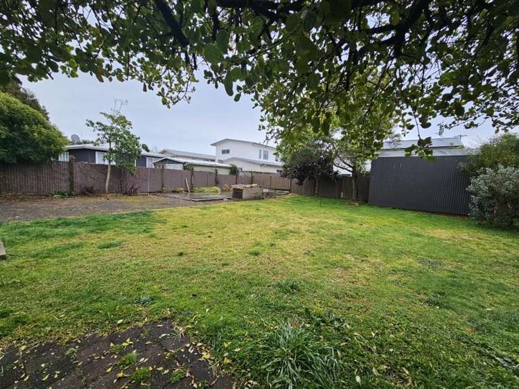 50 Percy Road 1131_8