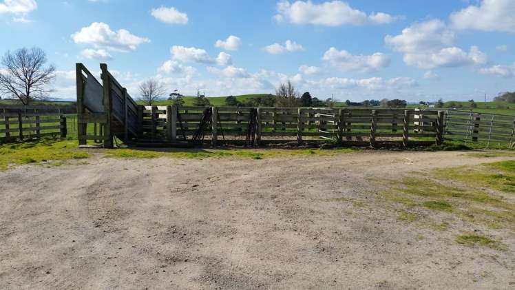 1966 Gordonton Road Taupiri_2