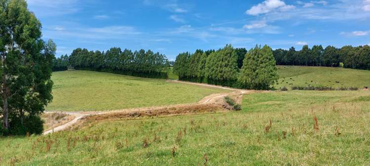 120 Roughan Road Southland_10