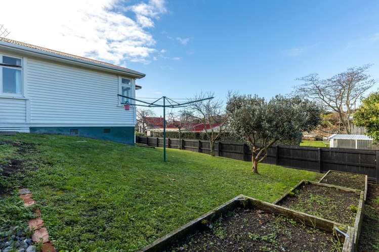 19 Wilson Street Renwick_37