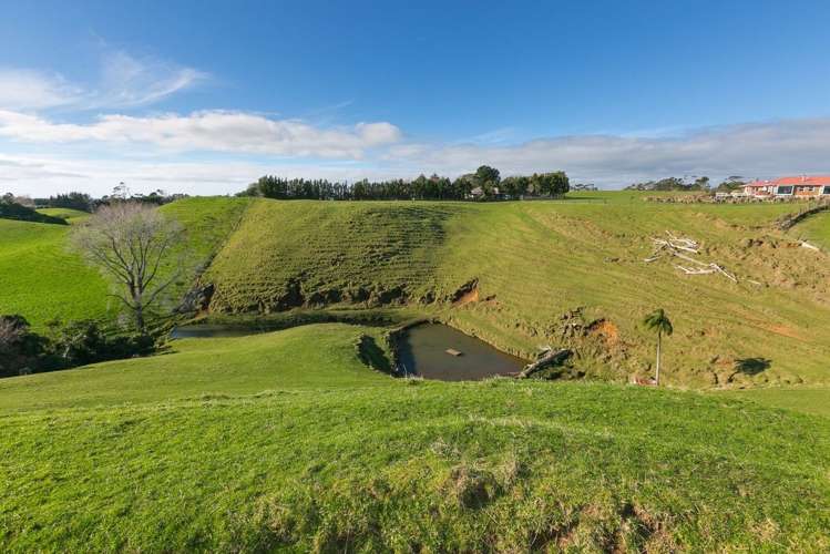 574 Mangorei Road Mangorei_9