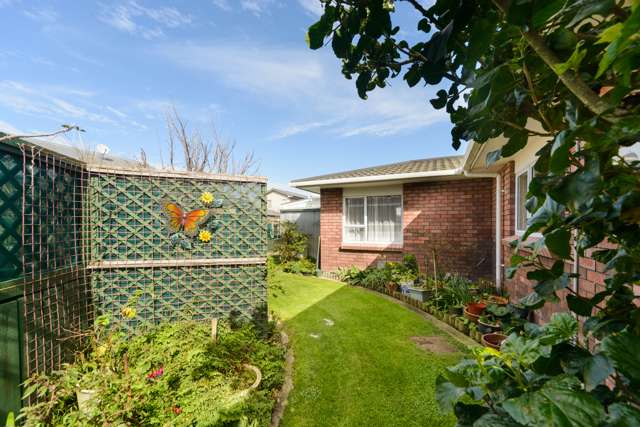 6 Camellia Court Palmerston North Central_2